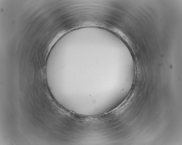 X0000069361097200606091555