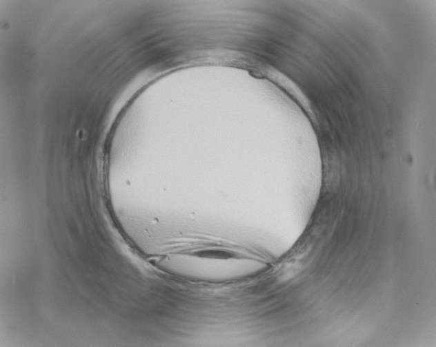 X0000069361099200606091555