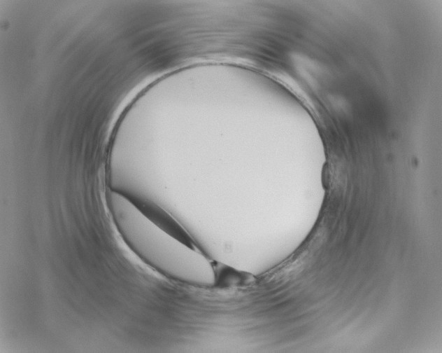 X0000069361100200606091555