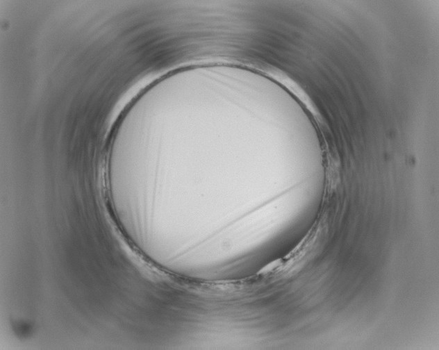 X0000069361101200606091555