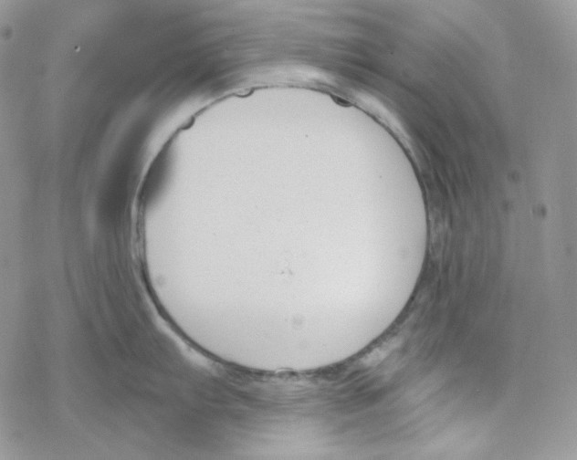 X0000069361103200606091555