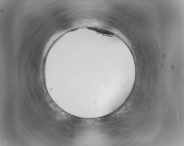 X0000069361104200606091555