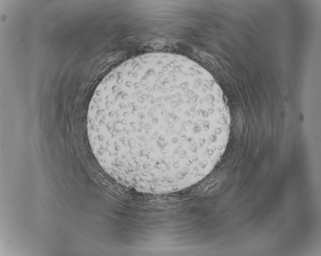 X0000069361105200606091554