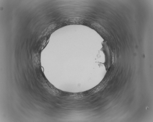 X0000069361107200606091554