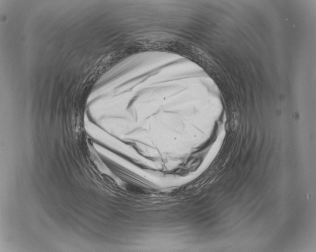 X0000069361108200606091554