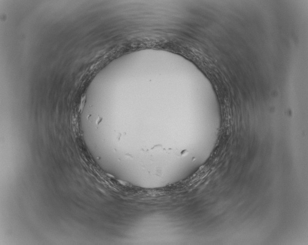 X0000069361109200606091554