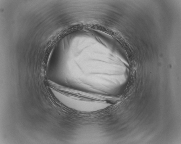 X0000069361110200606091554