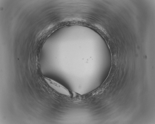 X0000069361111200606091554