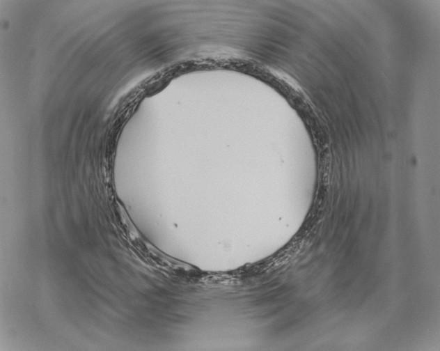 X0000069361112200606091554