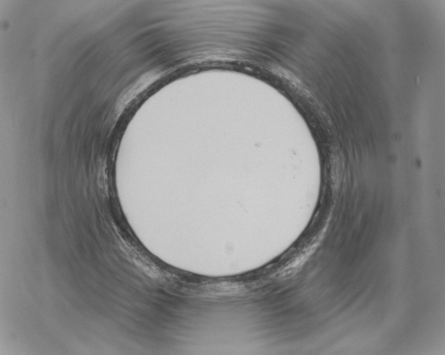 X0000069361113200606091554