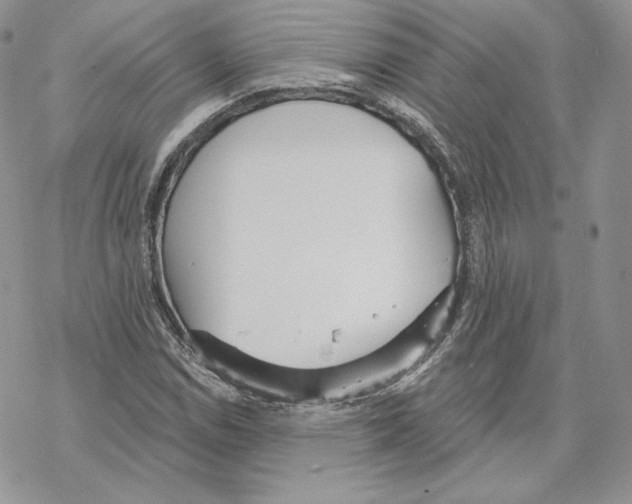 X0000069361114200606091554