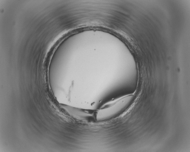 X0000069361118200606091554