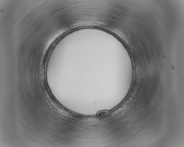 X0000069361119200606091554