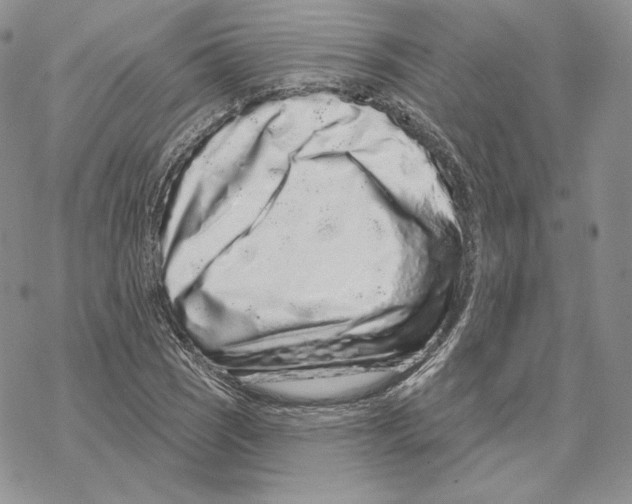 X0000069361121200606091554