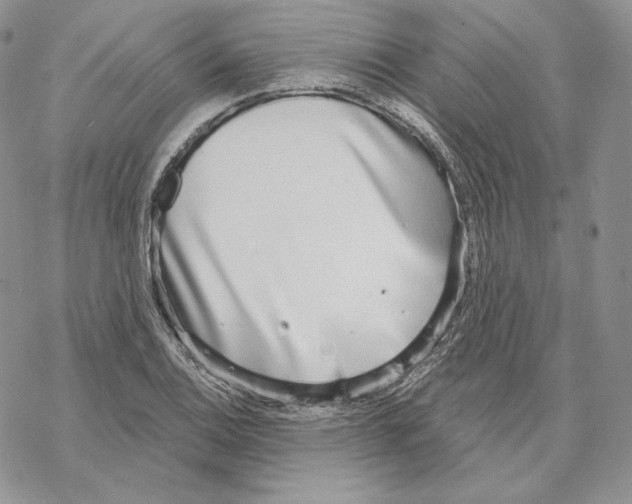 X0000069361124200606091554