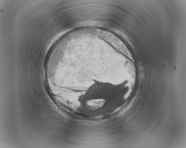 X0000069361125200606091554