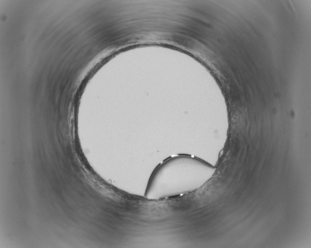 X0000069361126200606091554