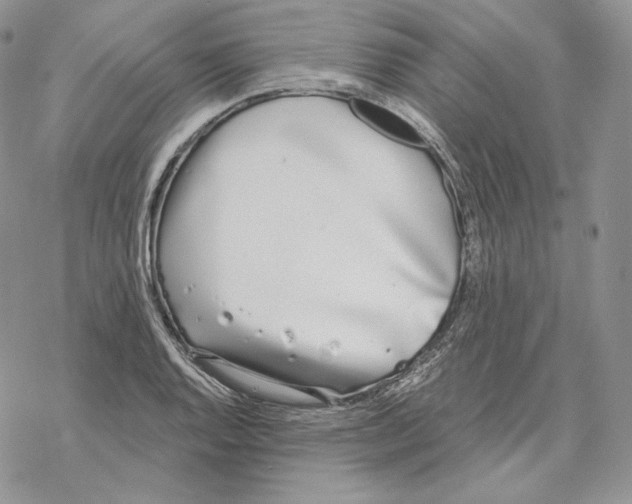 X0000069361128200606091554