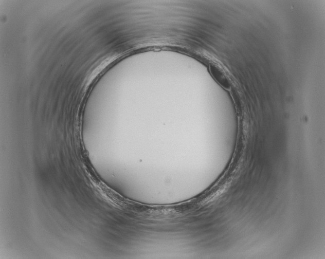 X0000069361129200606091554