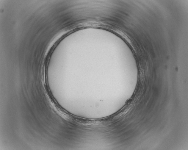 X0000069361131200606091554