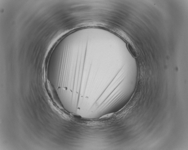 X0000069361132200606091554