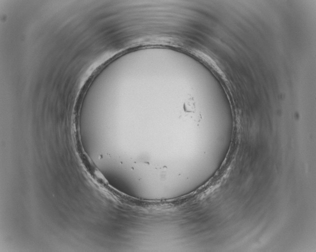 X0000069361133200606091554