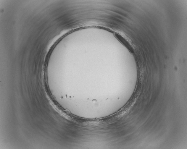 X0000069361134200606091554