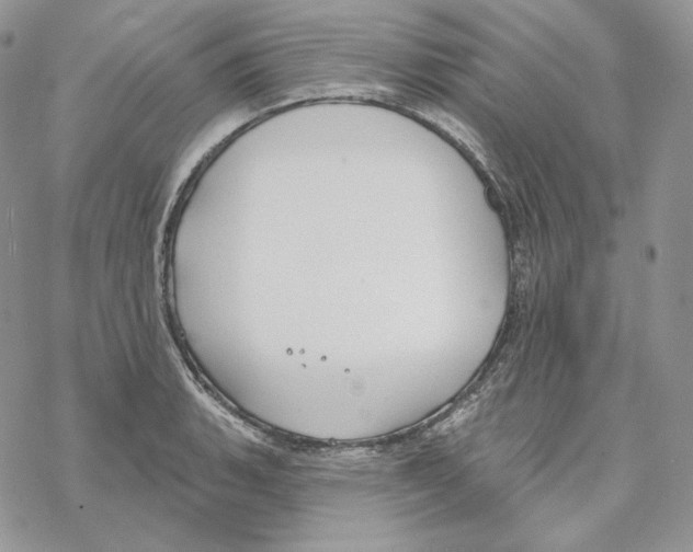 X0000069361135200606091554