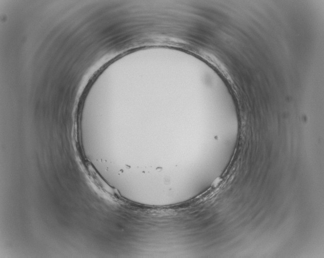 X0000069361136200606091554