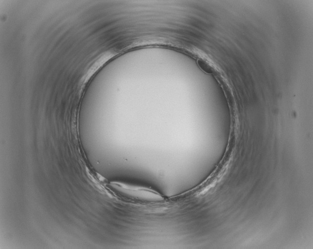 X0000069361137200606091554