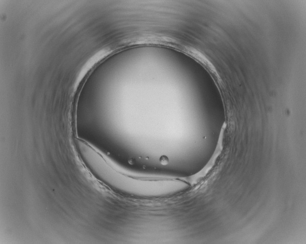 X0000069361138200606091554