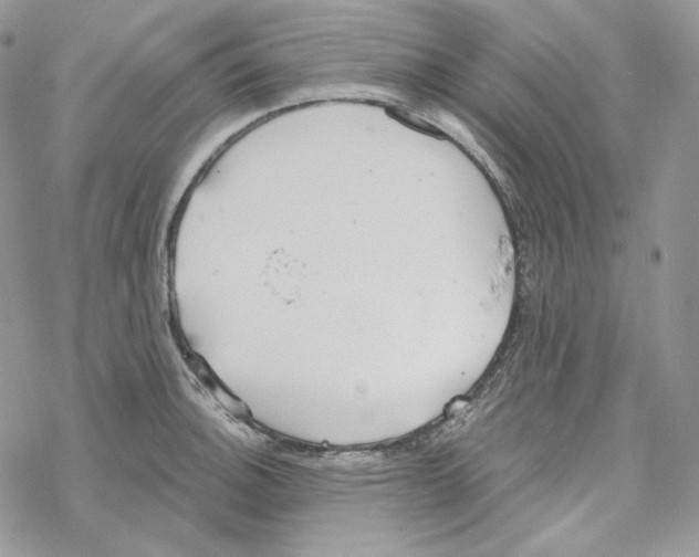 X0000069361140200606091554