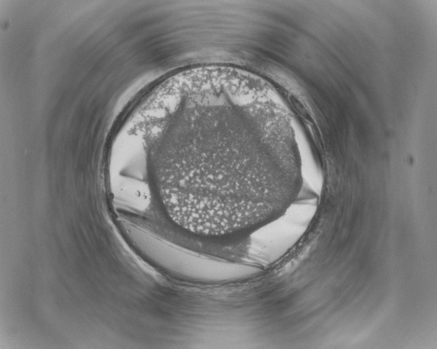 X0000069361141200606091554