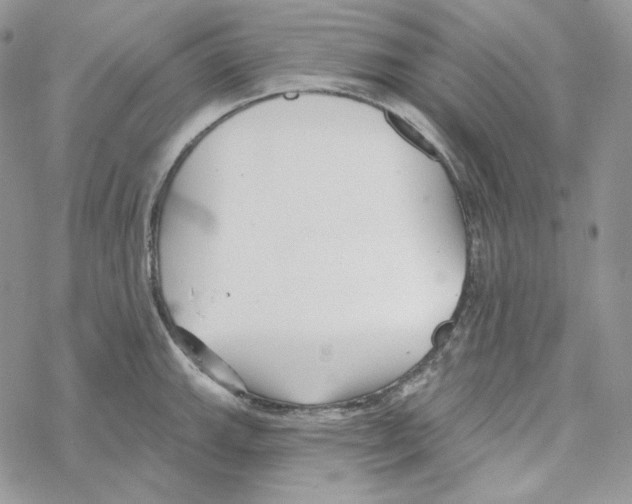 X0000069361143200606091554