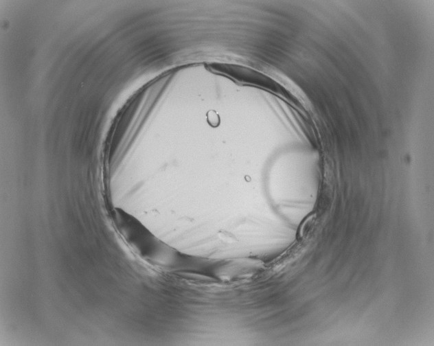 X0000069361144200606091554