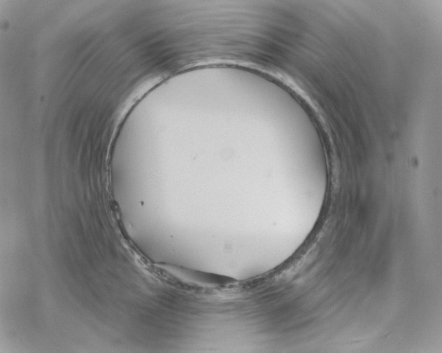 X0000069361145200606091554