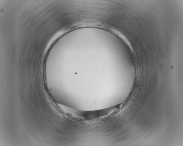 X0000069361146200606091554