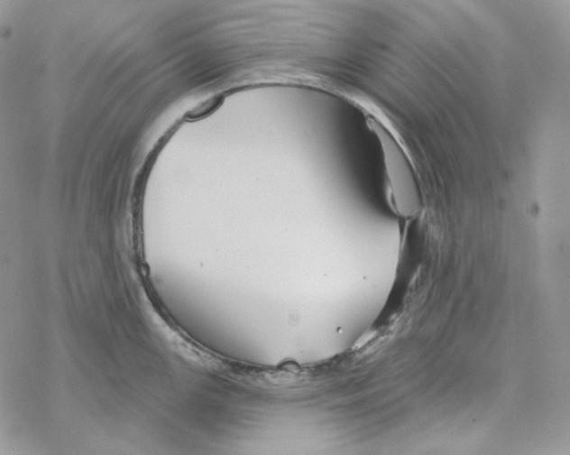 X0000069361147200606091554