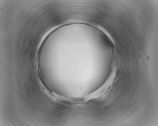 X0000069361148200606091554