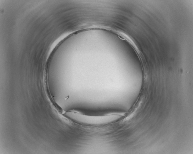 X0000069361149200606091554