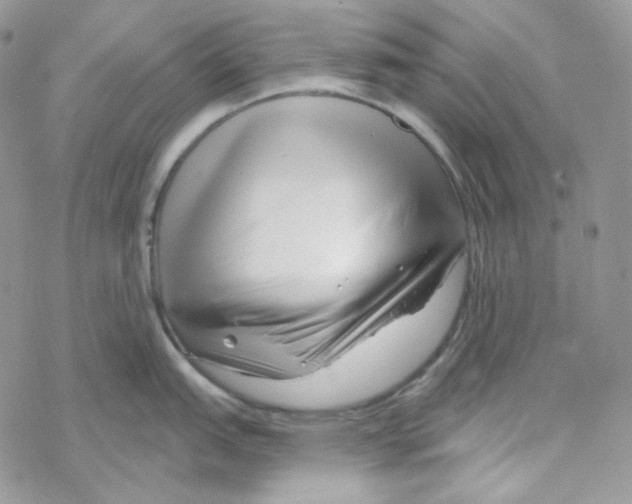 X0000069361151200606091555