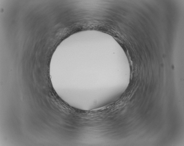 X0000069361153200606091554