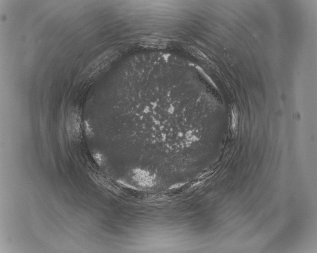 X0000069361154200606091554