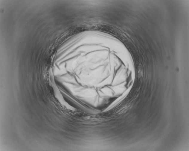 X0000069361156200606091554