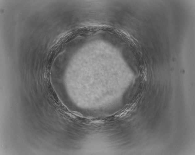 X0000069361157200606091554