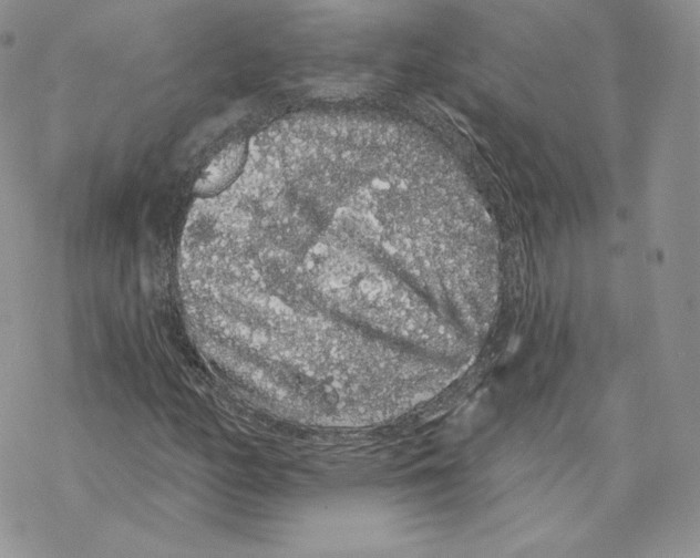 X0000069361158200606091554