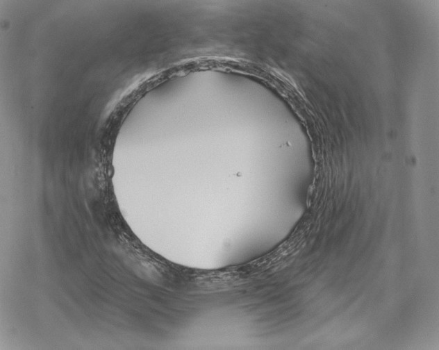 X0000069361159200606091554