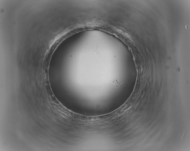 X0000069361160200606091554