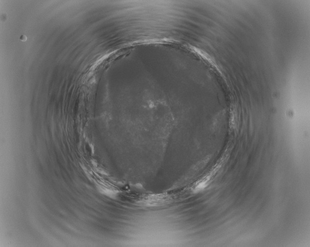 X0000069361161200606091554