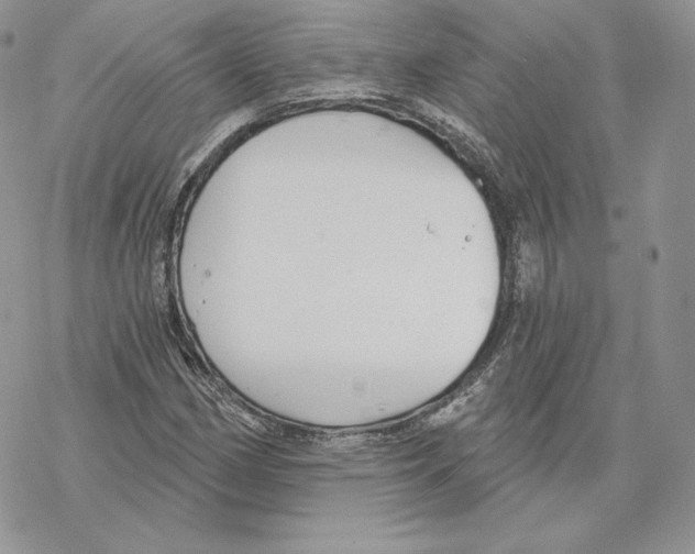 X0000069361162200606091554